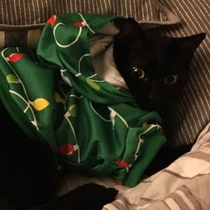 Meet your Posher, Frannie